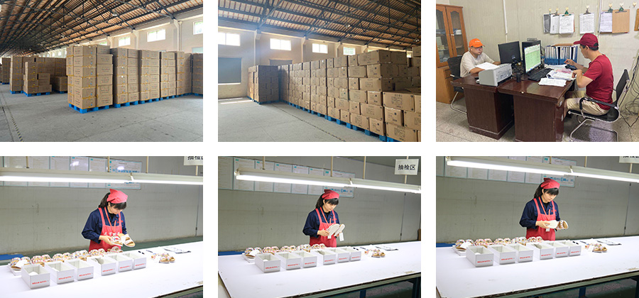 1594094508.jpg 入荷合集.jpg